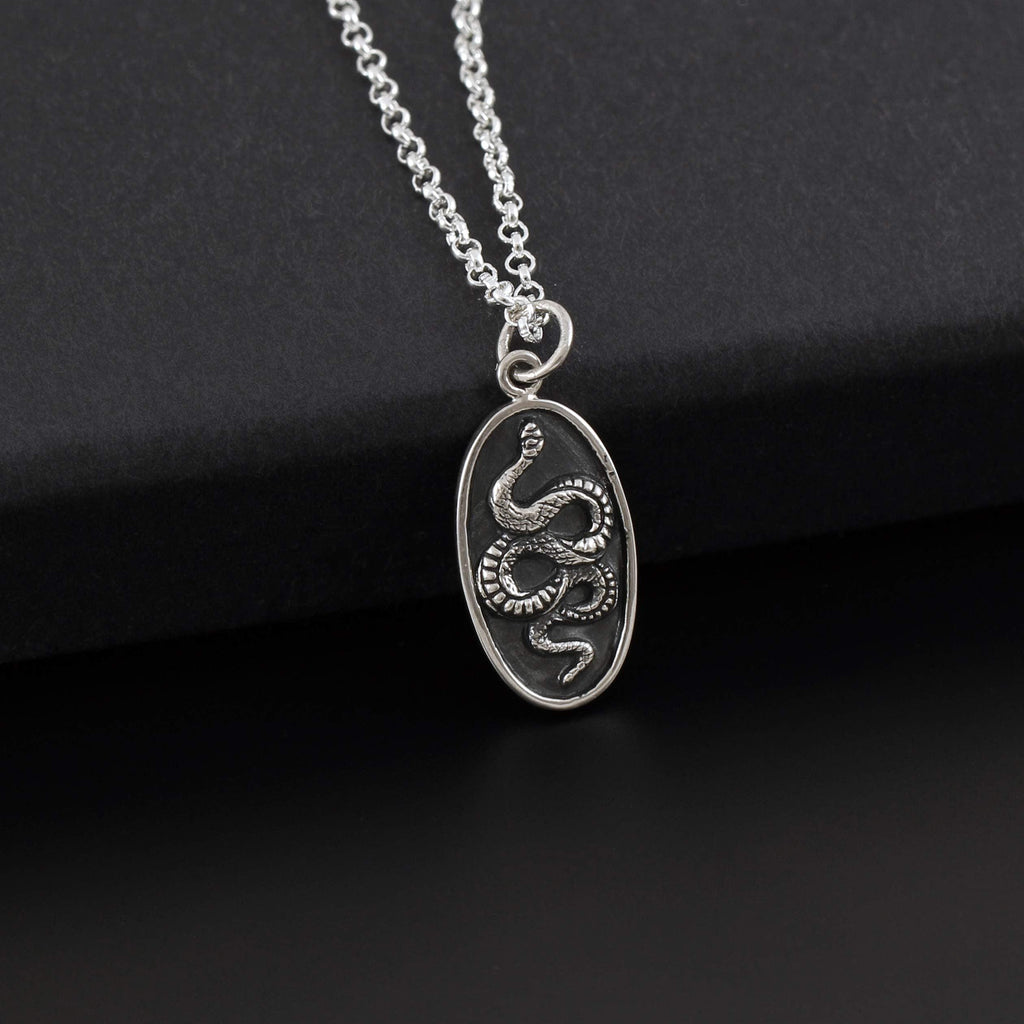 Sterling Silver Snake Pendant Necklace: Gothic Talisman Jewelry