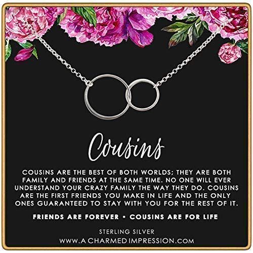Cousin Gift: Sterling Silver Interlocking Circle Necklace