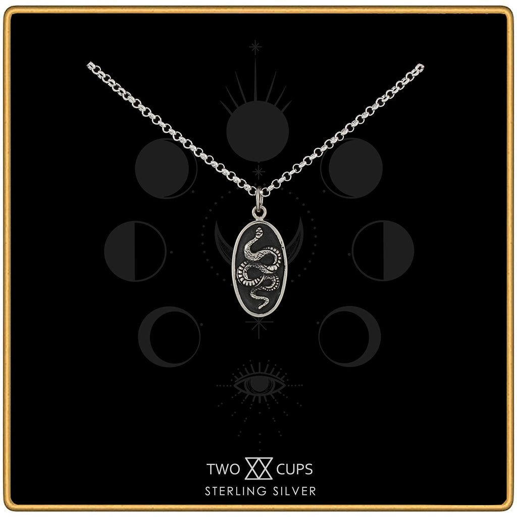 Sterling Silver Snake Pendant Necklace: Gothic Talisman Jewelry