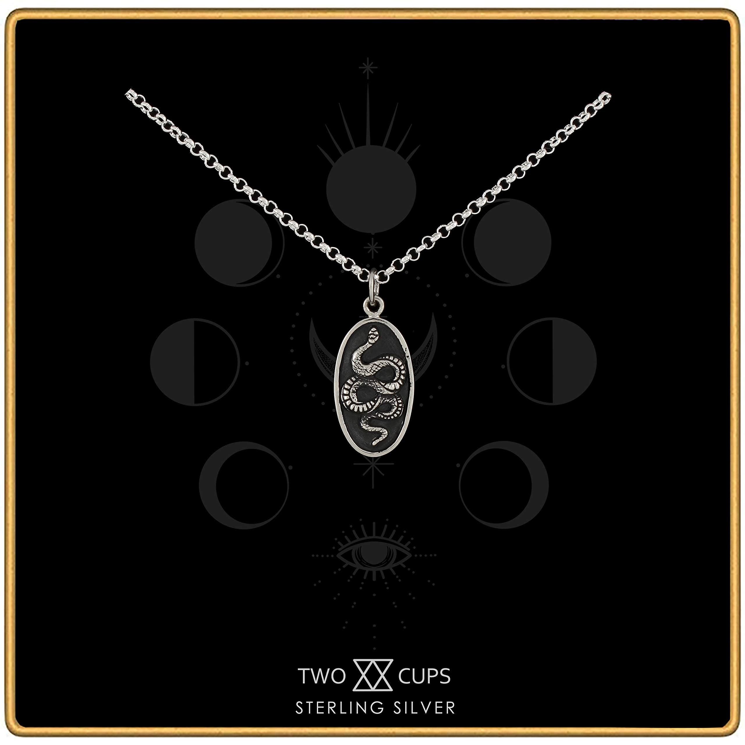 Sterling Silver Snake Pendant Necklace: Gothic Talisman Jewelry